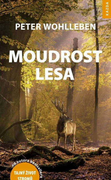 Moudrost lesa