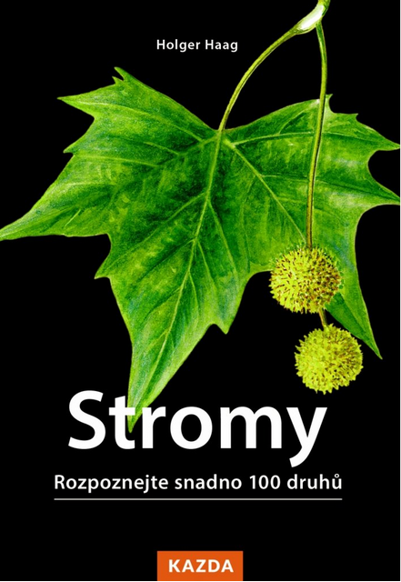 Stromy - Rozpoznejte