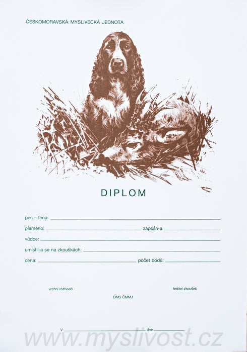 Diplom - Angl. springer se srncem