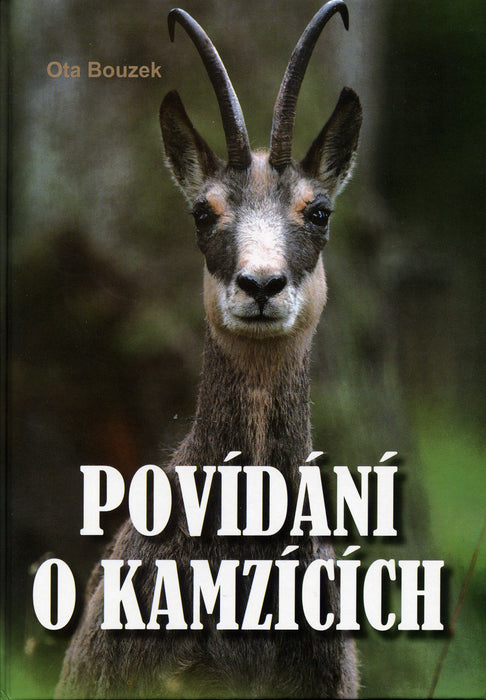 Povídání o kamzících