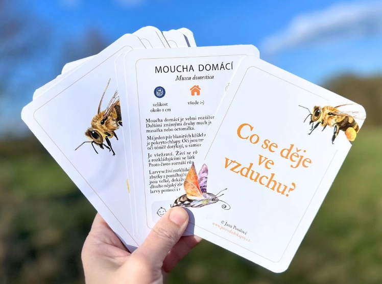 Karty Co se děje ve vzduchu?