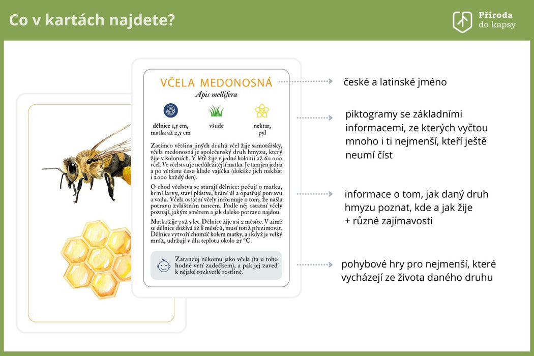 Karty Co se děje ve vzduchu?
