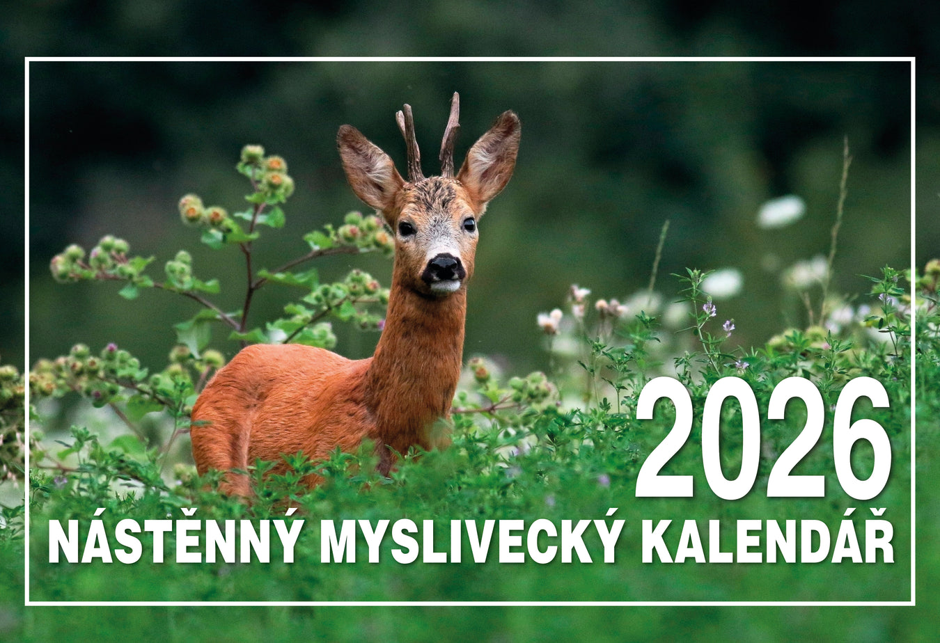 Kalendáře a zápisníky 2024