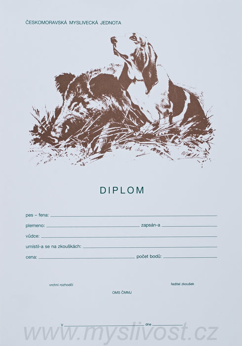 Diplom - Basset s divočákem