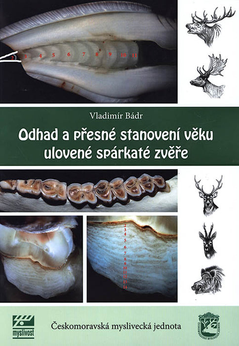 Odhad a přesné stanovení věku ulovené spárkaté zvěře