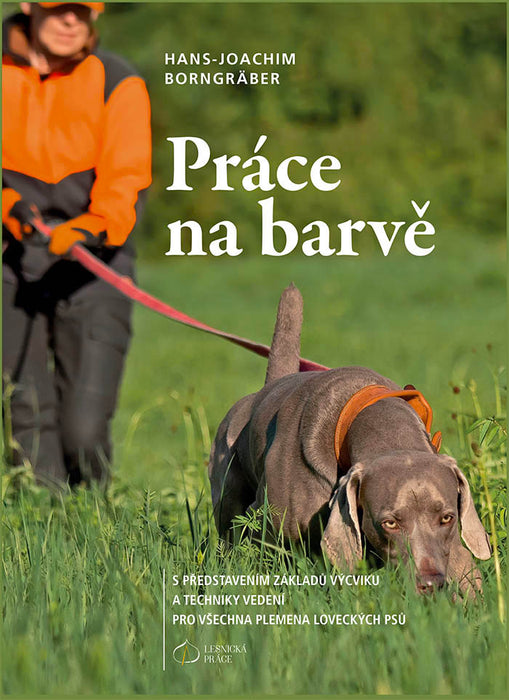 Práce na barvě