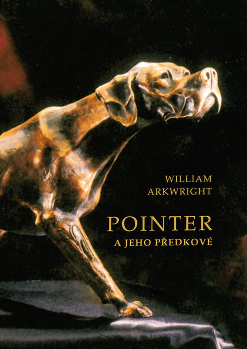 Pointer a jeho předkové